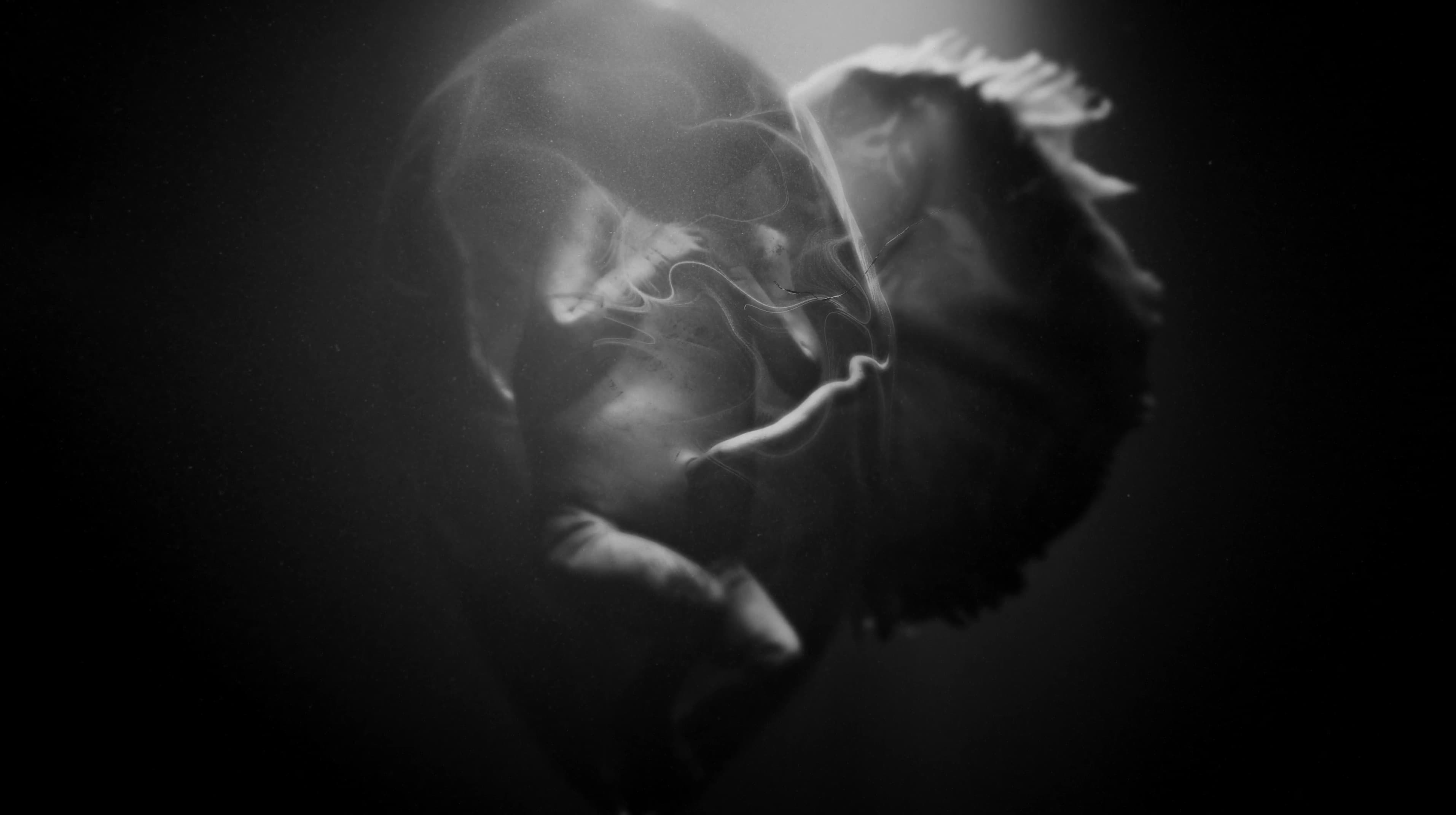 All Day I Dream About Sport