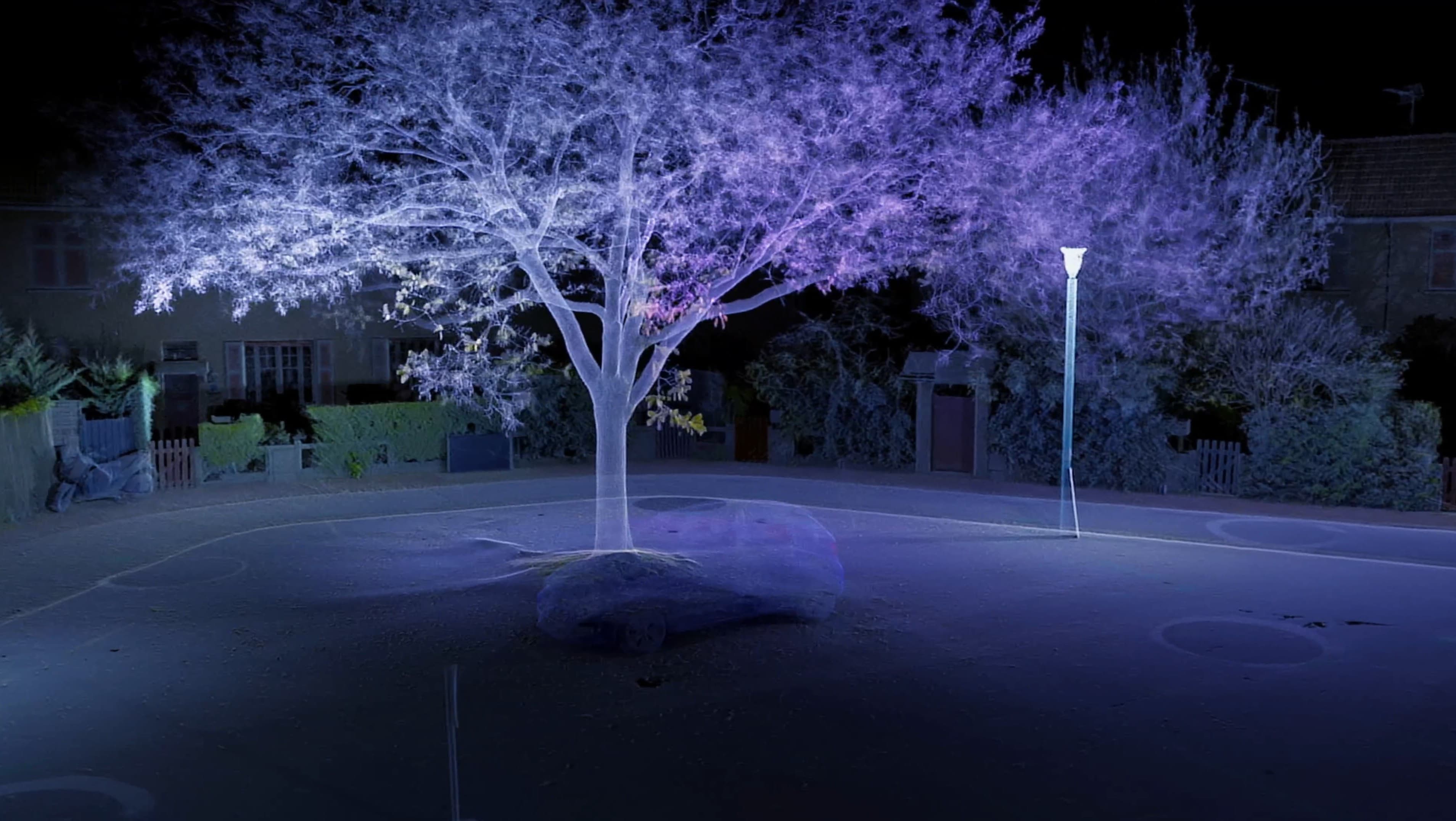 Généalogie de la Violence